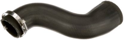 Charger Air Hose Ford - 1 222 831