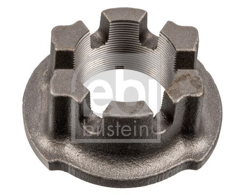 Nut, kingpin Bergische Achsen 03.262.17.19.0