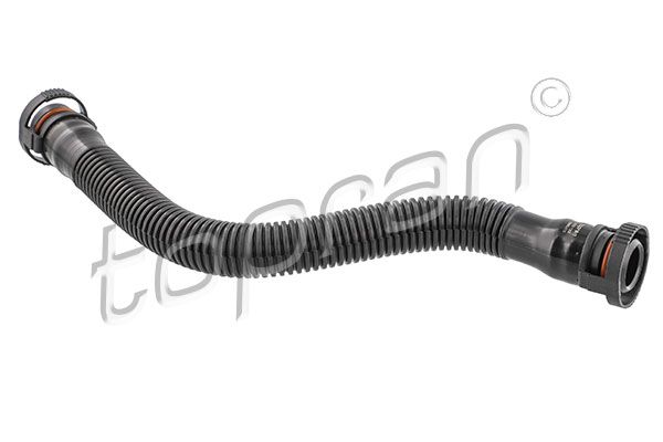 Hose, cylinder head cover ventilation BMW/MINI