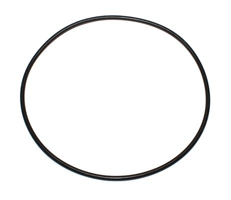 Seal Ring DAIMLER NKW