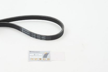 V-Ribbed Belt VAG - 059 260 849B