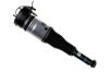 Air Suspension Strut AUDI A8 (4H2, 4H8, 4HC, 4HL)