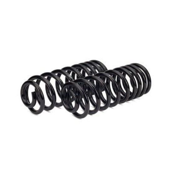 Suspension Set, springs 08-09 Hummer H2