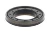 Shaft Seal, differential Iveco 7182982