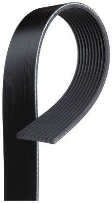 V-Ribbed Belt 10PK1145ES - ( 21 )