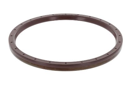 Shaft Seal, differential Iveco 40100670
