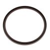 Shaft Seal, differential Iveco 40100670