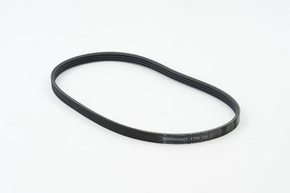 V-Ribbed Belt FORD - 1 120 199