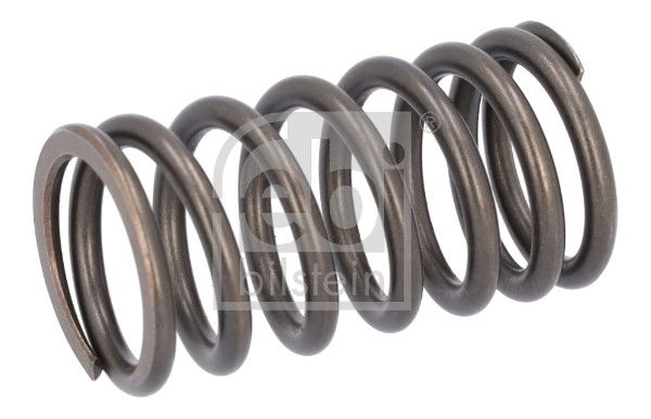Valve Spring DAF 1610 819