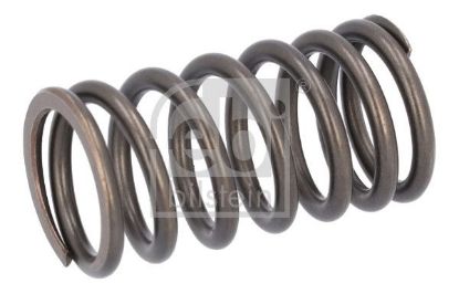 Valve Spring DAF 1610 819