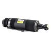 Air Suspension Strut MB SL-Class AMG (R230) 03-06 2303204713