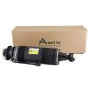 Air Suspension Strut MB SL-Class AMG (R230) 03-06 2303204713
