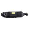 Air Suspension Strut MB SL-Class AMG (R230) 03-06 2303204713