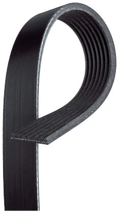 V-Ribbed Belt RENAULT - 11 92 000 54R