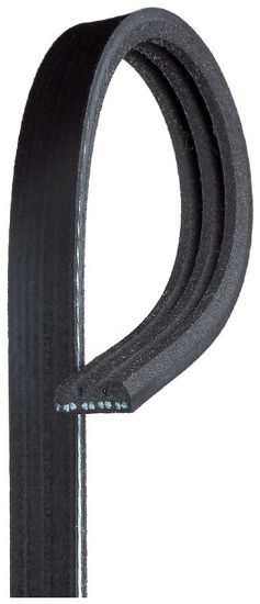 V-Ribbed Belt 3PK515 - C toode