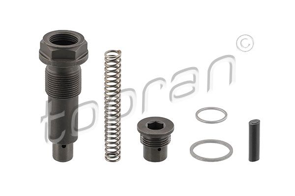 Tensioner, timing chain VAG, Mercedes/Smart