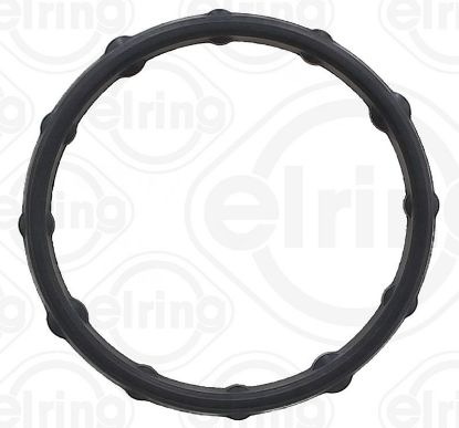 Gasket, oil cooler Ford USA