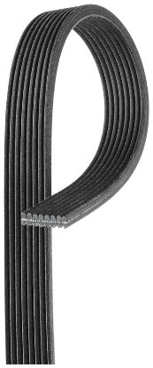 V-Ribbed Belt JAGUAR  9W83-8620-BA