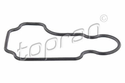 Gasket, crankcase ventilation