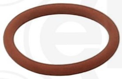 Seal Ring VAG - WHT 006 113