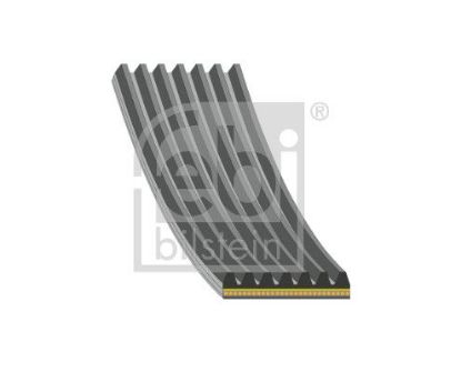 V-Ribbed Belt Not assigned