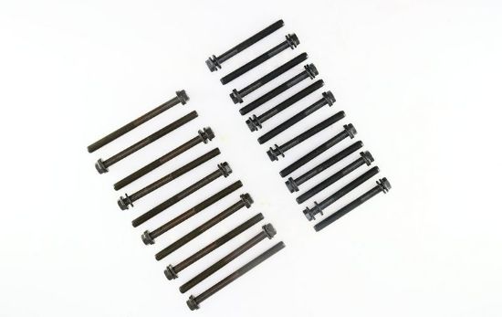 Cylinder Head Bolt Set PSA 5001001215