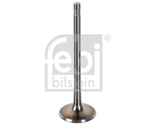 Intake Valve VW-Audi 06D 109 601 K