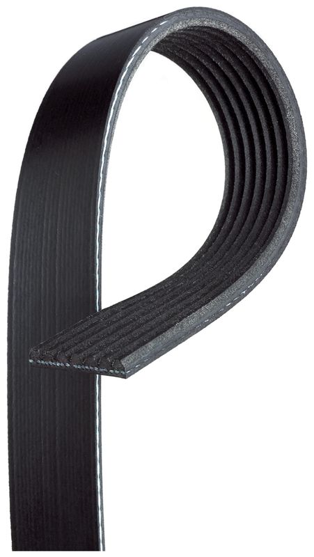 V-Ribbed Belt NISSAN NAVARA (D40)