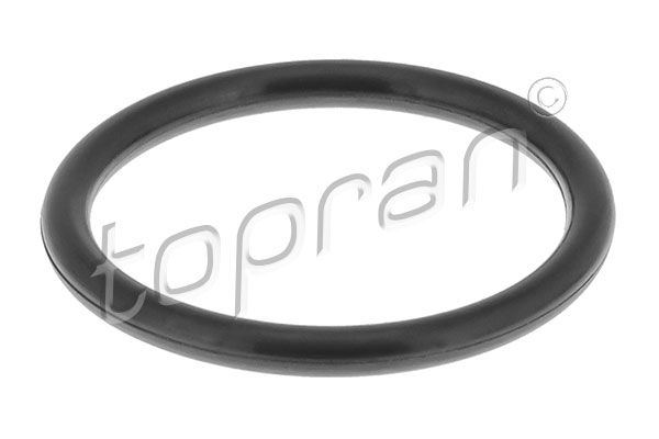 Seal Ring, coolant tube VAG