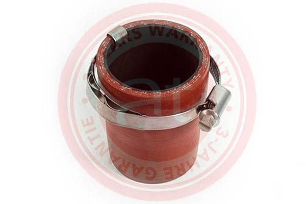 Charger Air Hose Ford Focus II