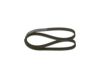 V-Ribbed Belt VAG - 06J 260 849 D - 6PK1110