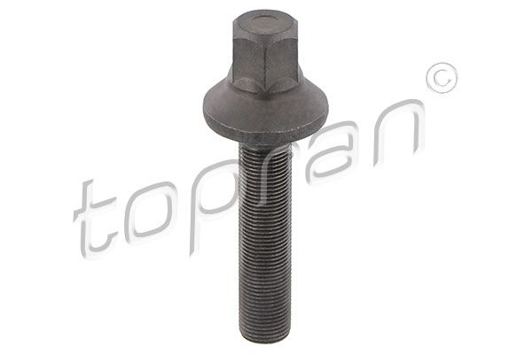 Pulley Bolt BMW/MINI