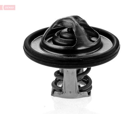 Thermostat, coolant Ford