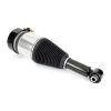 Air Suspension Strut