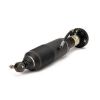 Air Suspension Strut MB SL-Class (R230) 07-12 2303202338