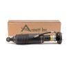 Air Suspension Strut MB SL-Class (R230) 07-12 2303202338