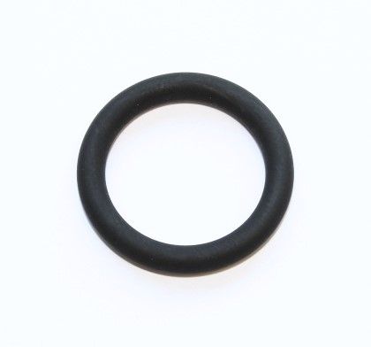 Seal Ring 17 x 3 FPM RD SH 70