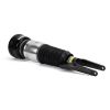 Air Suspension Strut Front Right Eibach Air Strut - 13-16 Porsche Pana