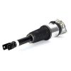 Air Suspension Strut 02-10 Audi A8 (D3) w/Normal Suspension