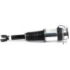 Air Suspension Strut 02-10 Audi A8 (D3) w/Normal Suspension