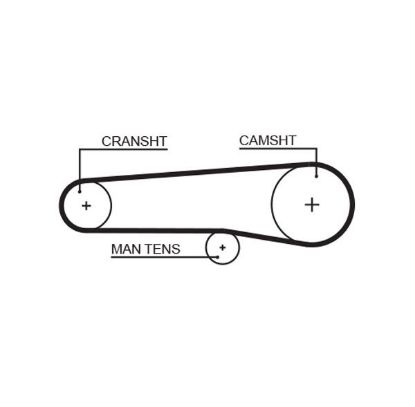 Timing Belt Lancia Camma