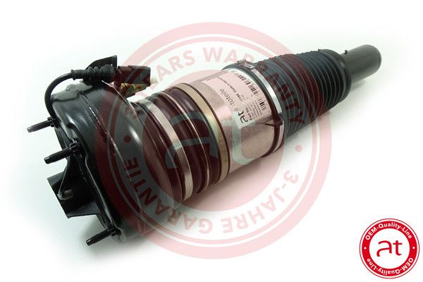 Air Suspension Strut VAG 4H0 616 039 AE