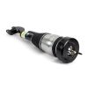 Air Suspension Strut