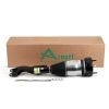 Air Suspension Strut