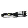 Air Suspension Strut