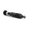 Air Suspension Strut MB SL-Class AMG (R230) 03-06 2303203013