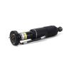 Air Suspension Strut MB SL-Class AMG (R230) 03-06 2303203013