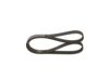 V-Ribbed Belt VAG - 06K 903 137A - 6PK1130