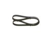 V-Ribbed Belt VAG - 06K 903 137A - 6PK1130