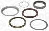 Gasket Set, wheel hub DAIMLER NKW